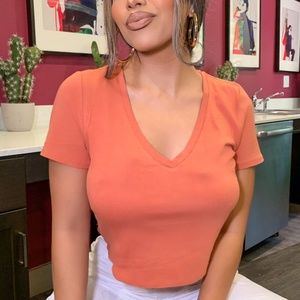Fashion Nova Carrie V-Neck Crop Tee Shirt Stretch Top in Terracotta Rose